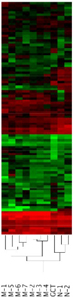 clustering